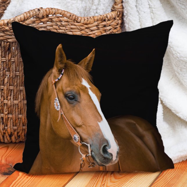 Vacker brun vit Quarter Horse-fotografi Kudde (Decorator pillow with the photo of a beautiful quarter-horse)