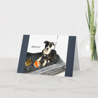 Vacker Bulldog Välkomstkort Helgkort