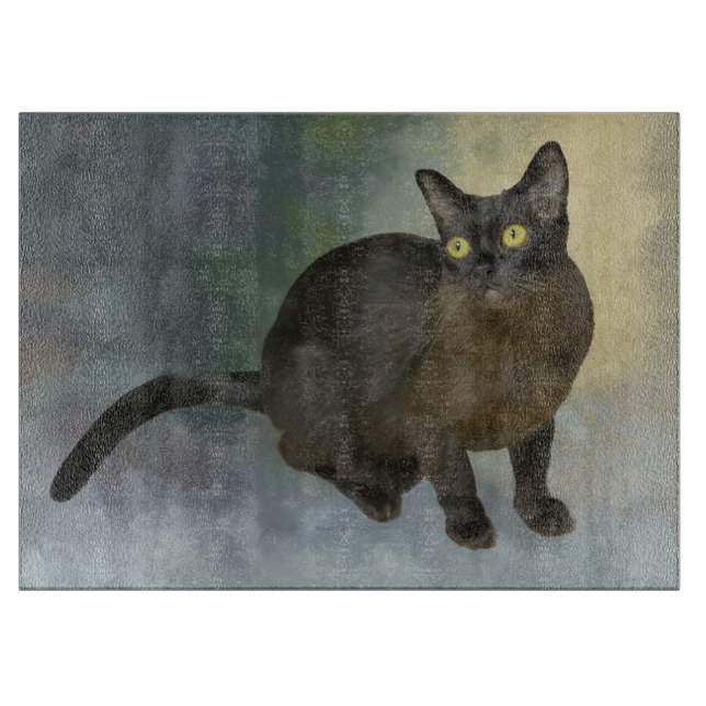 Vacker burmese (Framsidan)