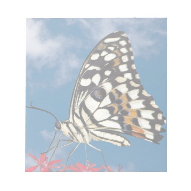 Vacker Butterfly Anteckningsblock (Framsida)