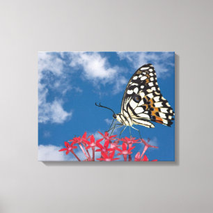 Vacker Butterfly Canvastryck