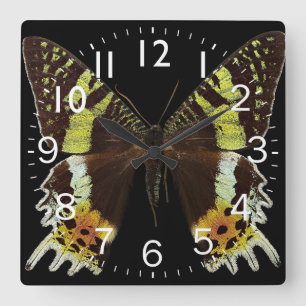 Vacker Butterfly Closeup Fyrkantig Klocka