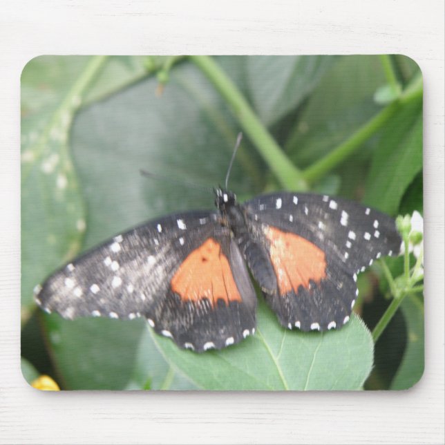 Vacker Butterfly Mousepad Musmatta (Framsidan)