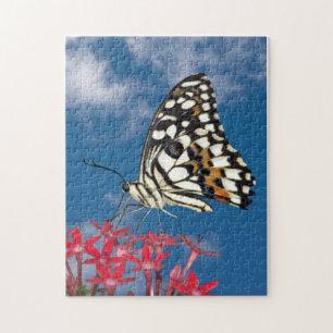 Vacker Butterfly Pussel
