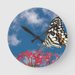 Vacker Butterfly Rund Klocka