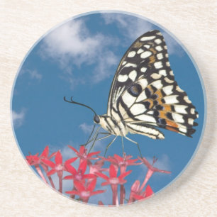 Vacker Butterfly Underlägg Sandsten