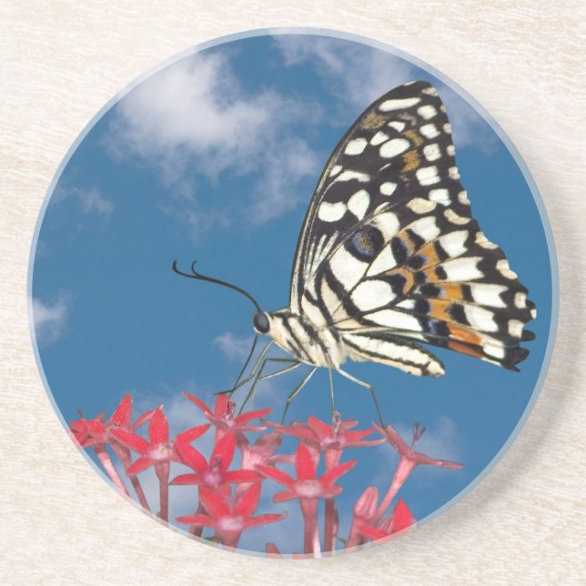 Vacker Butterfly Underlägg Sandsten (Framsidan)