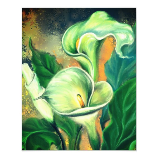 Vacker Calla Lily Flower - Drawn by Migned Fototryck (Framsidan)