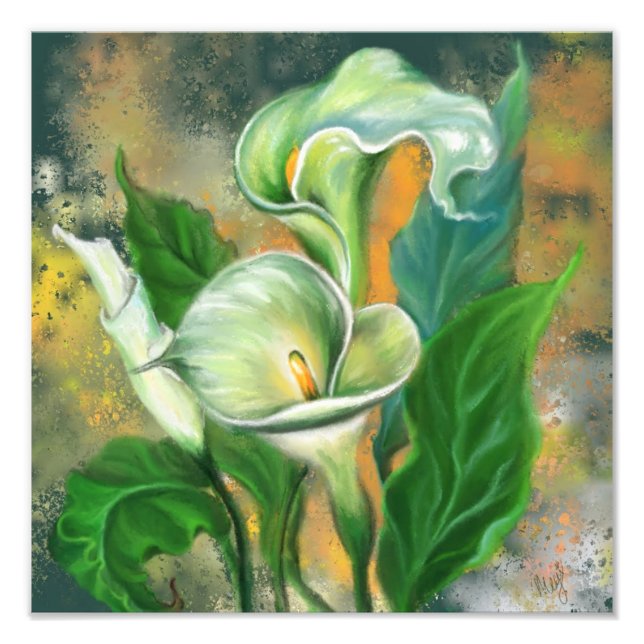 Vacker Calla Lily Flower - Migned Art Teckning Fototryck (Framsidan)