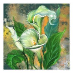 Vacker Calla Lily Flower - Migned Art Teckning Fototryck