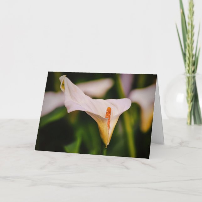Vacker Calla Lily i Garden Flower Note Card Kort (Framsida)