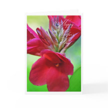 Vacker Cana Lily-blomma Morsdags-kort
