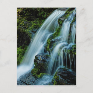 Vacker Cascade Waterfall-vykort Vykort