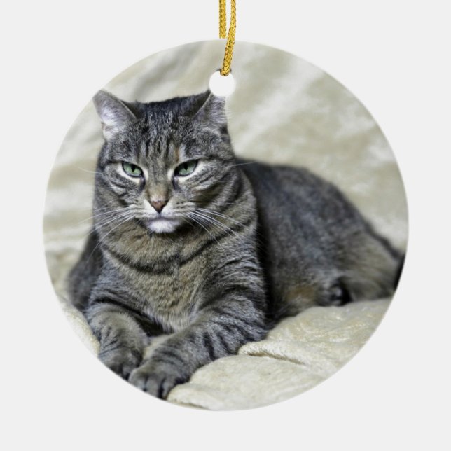 Vacker Cat Lay Julgransprydnad Keramik (Framsidan)