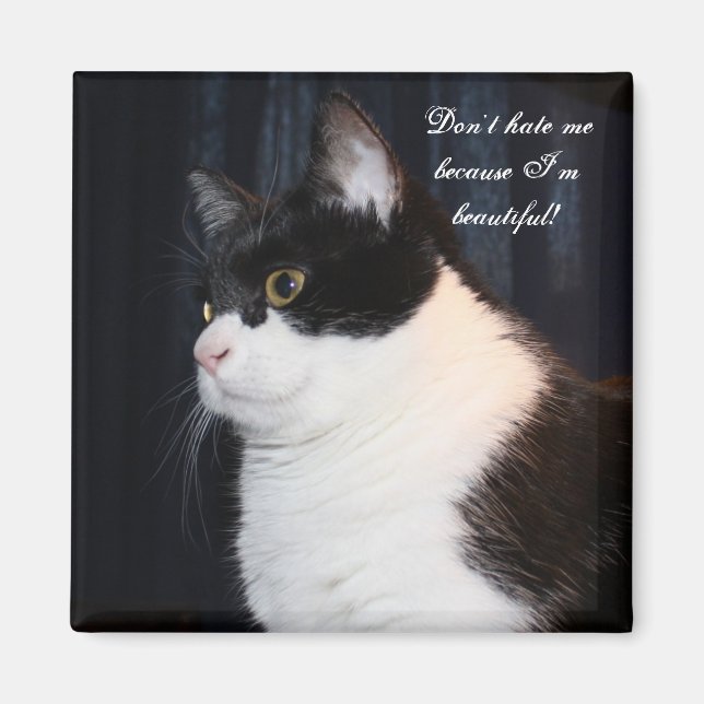 Vacker Cat Magnet (Framsidan)