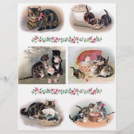 Vacker Cat och Kitten Illustrations H. Maguire