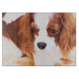Vacker Cavalier King Charles Spaniel