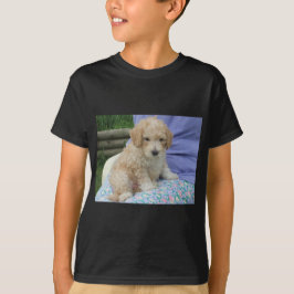 Vacker cavapoo-valp som tittar mot dig, isolerad tee shirt