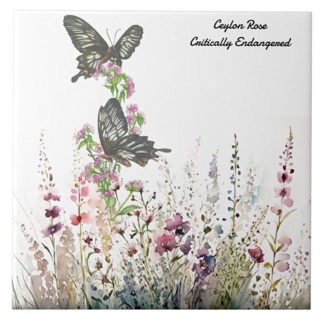 Vacker Ceylon Ro Hand-målad fjäril Kakelplatta (Framsidan)