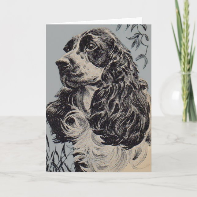 vacker cocker-spaniel kort (Framsida)