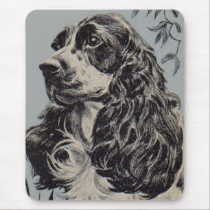vacker cocker-spaniel musmatta