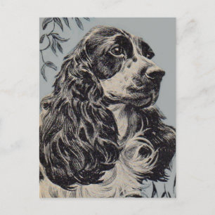 vacker cocker-spaniel vykort