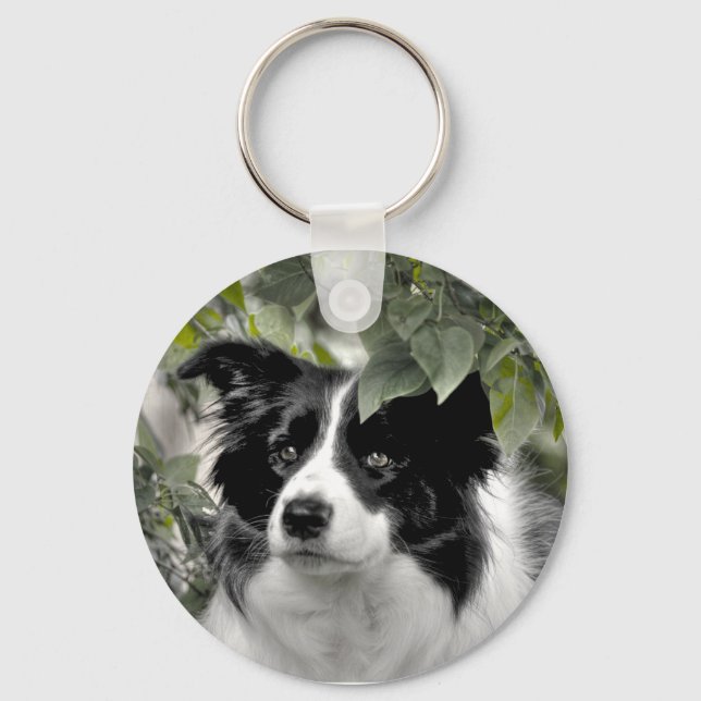 Vacker Collie Hund Nyckelring (Framsida)