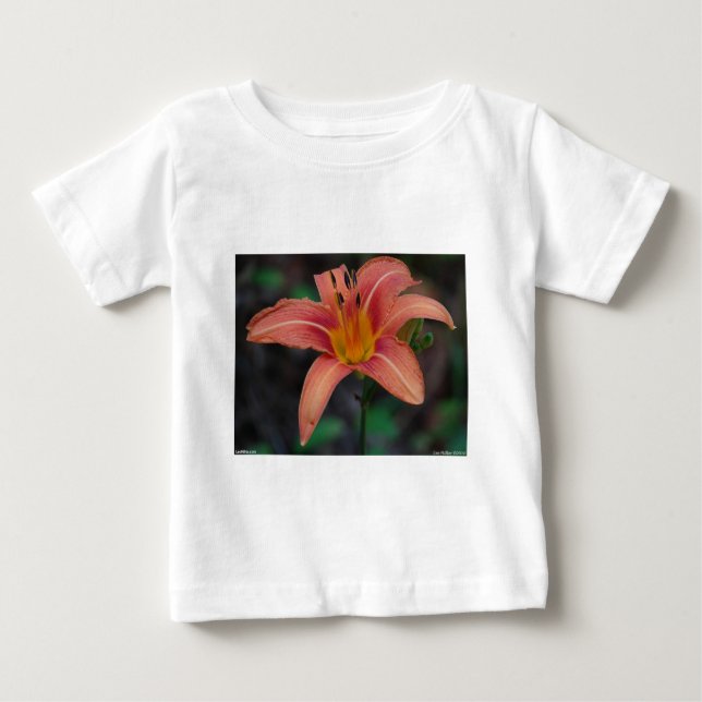 Vacker Daglilje Kläder och presenter T-shirt (Framsida)