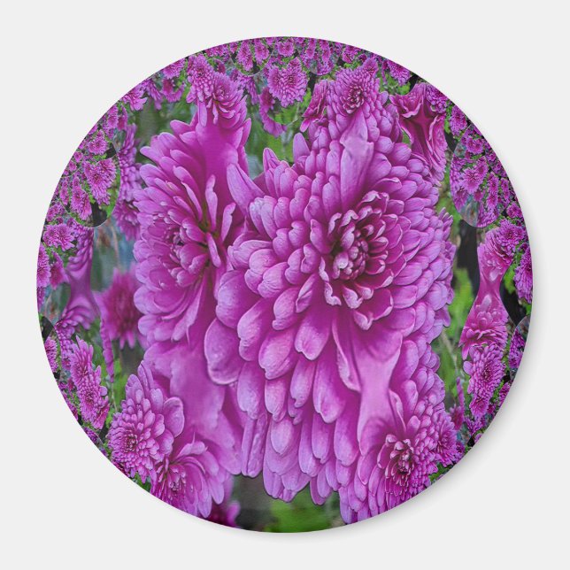 Vacker Dahlias...... Magnet (Framsidan)