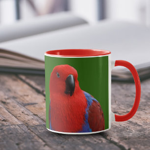 Vacker "Dam in Red" Eclectus Parrot Mugg