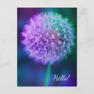 Vacker Dandelion på blå bakgrund Vykort