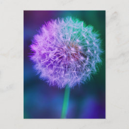 Vacker Dandelion Photo on Blue Background | Vykort