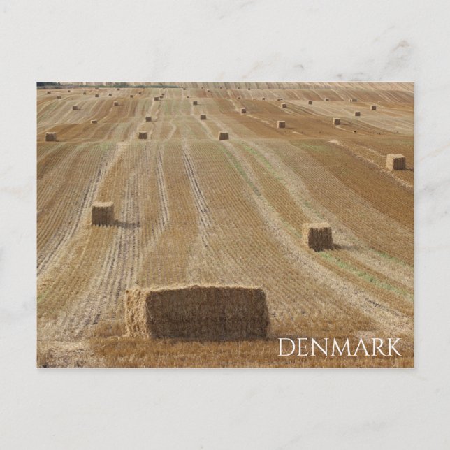 Vacker Danmark Landsbygd Postkort! Vykort (Framsida)