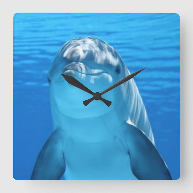 Vacker delfin fyrkantig klocka (Framsida)