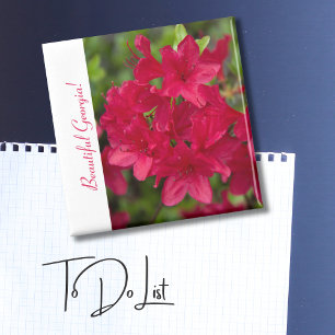 Vacker delstat blomma Georgia~ Azalea  Magnet