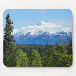 Vacker Denali Musmatta