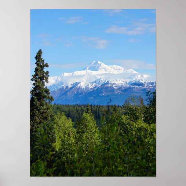 Vacker Denali Poster (Framsidan)