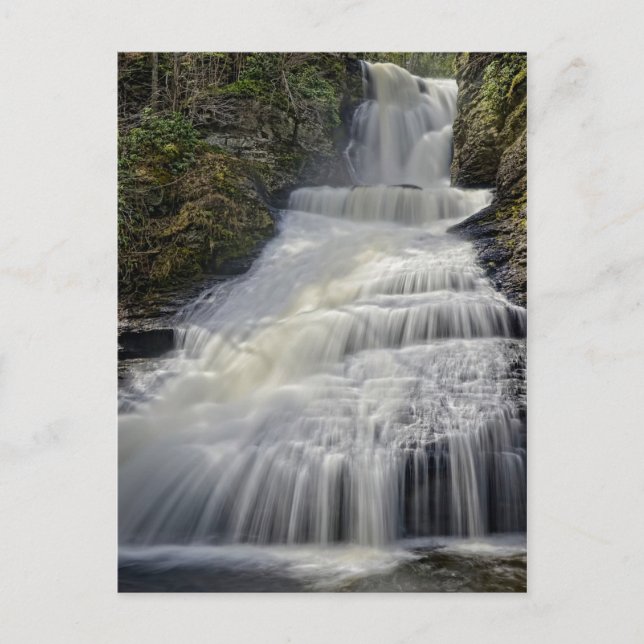 Vacker Dingmans Falls Vykort (Framsida)