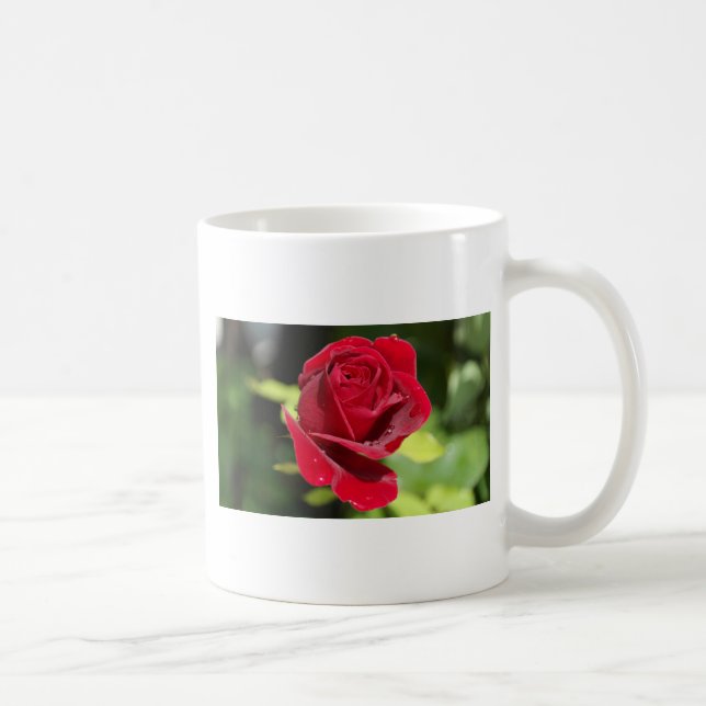Vacker djupröd ros kaffemugg (Höger)