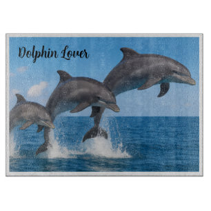 Vacker Dolphin Älskare Personlig Clearboard Board