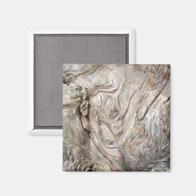 Vacker drivved Naturens konstverk Magnet (Front/Back)
