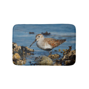 Vacker Dunlin Shorebird vid Beach Badrumsmatta
