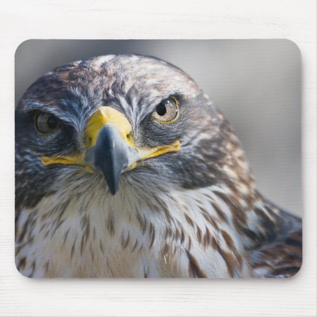 Vacker Eagle Mouse Pad Musmatta (Framsidan)