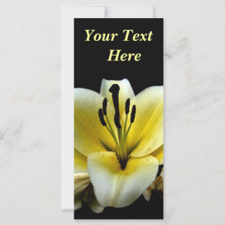 Vacker Elegant Gul på Svart Blomma