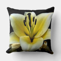 Vacker Elegant Gul på Svart Blomma