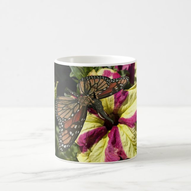 Vacker Elephant Butterfly Kaffemugg (Center)