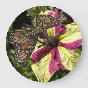 Vacker Elephant Butterfly Stor Klocka