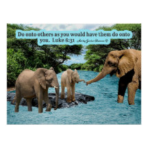 Vacker Elephant Scripture Luke 6:31