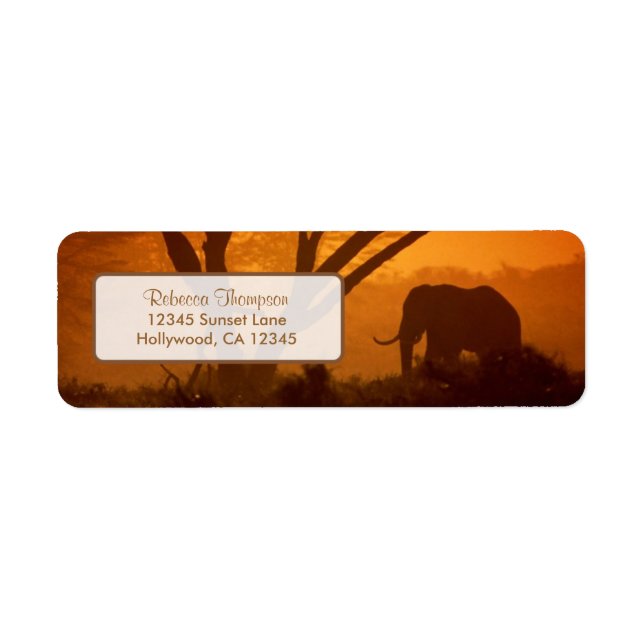 Vacker Elephant Silhouette under solnedgången Returadress Etikett (Framsidan)