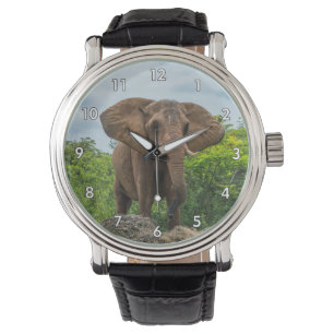 Vacker Elephant spelar i Grass Armbandsur